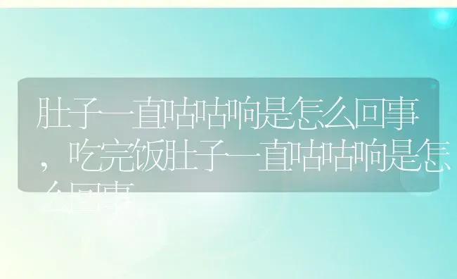 肚子一直咕咕响是怎么回事,吃完饭肚子一直咕咕响是怎么回事 | 养殖资料