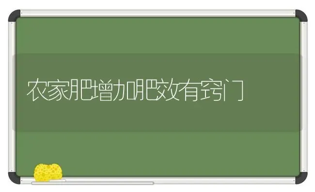 农家肥增加肥效有窍门 | 养殖技术大全