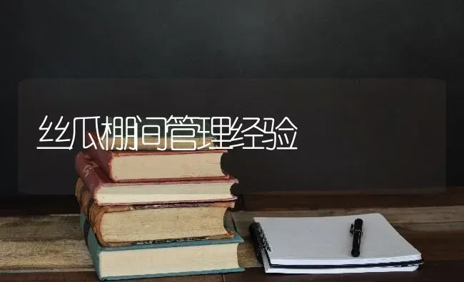 丝瓜棚间管理经验 | 养殖技术大全