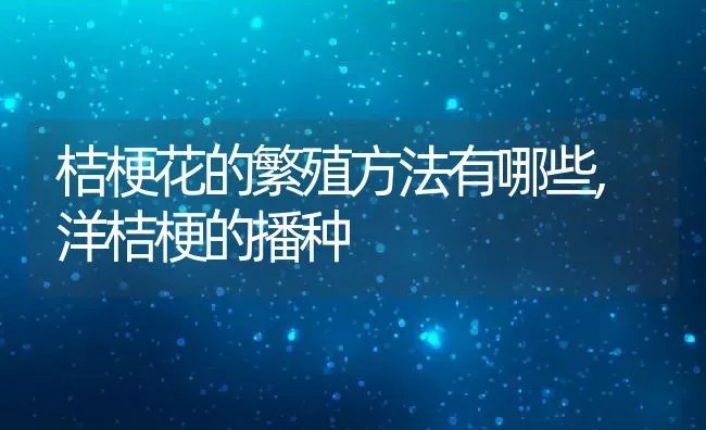 桔梗花的繁殖方法有哪些,洋桔梗的播种 | 养殖学堂