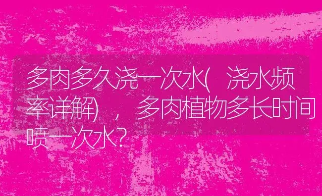 多肉多久浇一次水(浇水频率详解),多肉植物多长时间喷一次水？ | 养殖科普