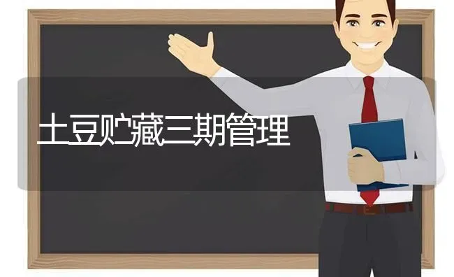 土豆贮藏三期管理 | 养殖技术大全