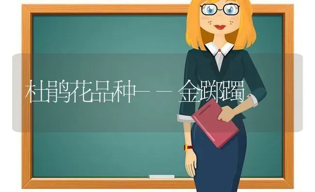 杜鹃花品种--金踯躅 | 养殖技术大全