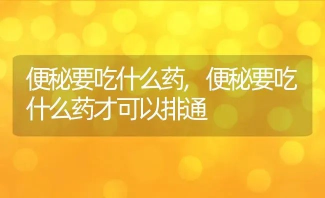 便秘要吃什么药,便秘要吃什么药才可以排通 | 养殖科普