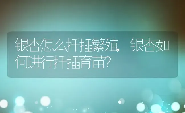 银杏怎么扦插繁殖,银杏如何进行扦插育苗？ | 养殖科普