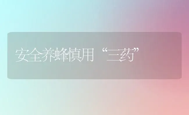 安全养蜂慎用“三药” | 养殖知识