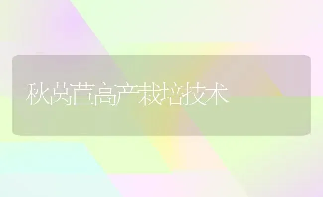 秋莴苣高产栽培技术 | 养殖技术大全