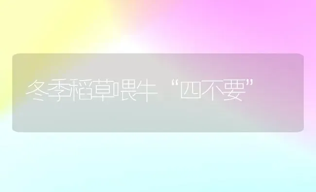 冬季稻草喂牛“四不要” | 养殖技术大全