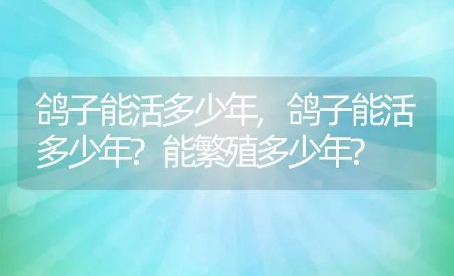 鸽子能活多少年,鸽子能活多少年?能繁殖多少年? | 养殖资料