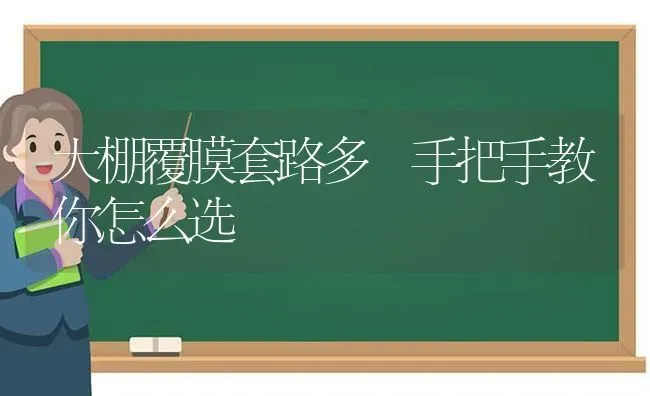 大棚覆膜套路多 手把手教你怎么选 | 养殖技术大全