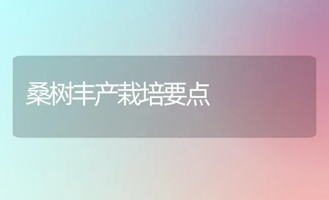 桑树丰产栽培要点 | 养殖知识