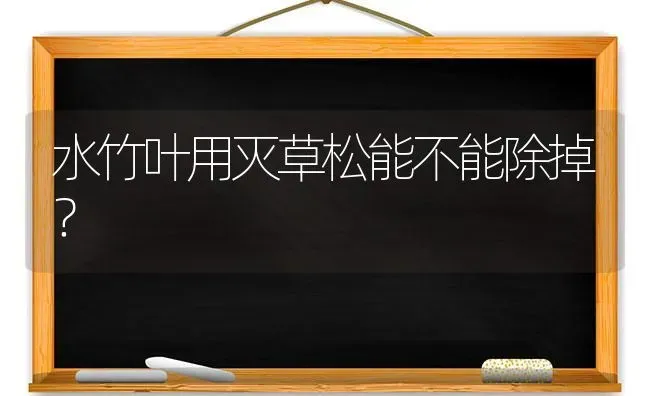 水竹叶用灭草松能不能除掉? | 养殖技术大全