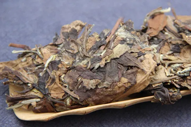 老白茶保质期一般多久,白茶的保质期一般是多久？