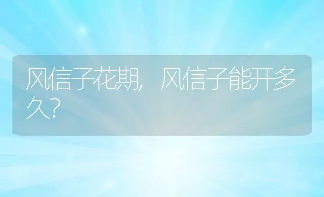 风信子花期,风信子能开多久？ | 养殖学堂