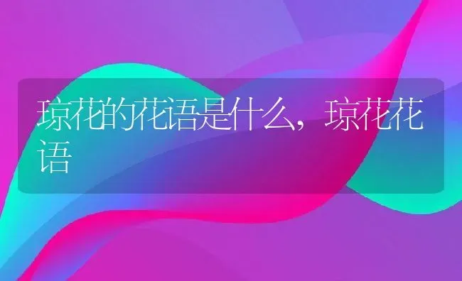 琼花的花语是什么,琼花花语 | 养殖学堂