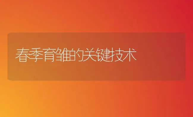 春季育雏的关键技术 | 养殖知识