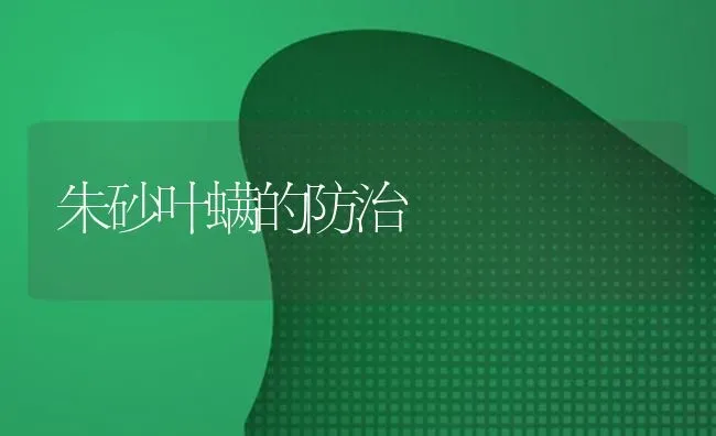 朱砂叶螨的防治 | 养殖知识