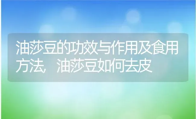 油莎豆的功效与作用及食用方法,油莎豆如何去皮 | 养殖科普