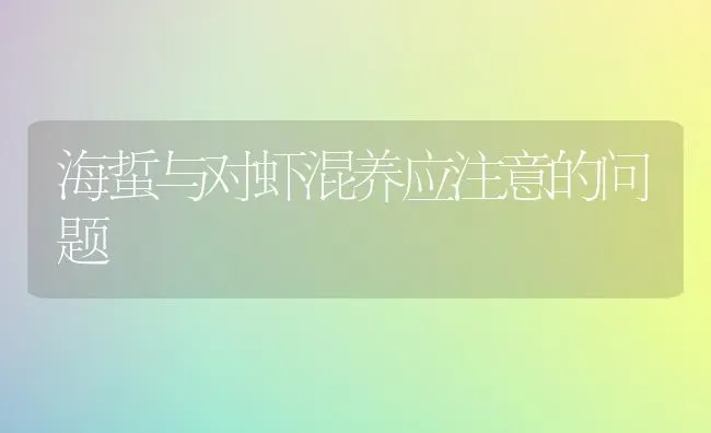 海蜇与对虾混养应注意的问题 | 养殖技术大全