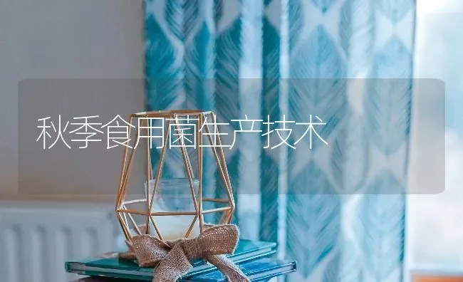 秋季食用菌生产技术 | 养殖知识