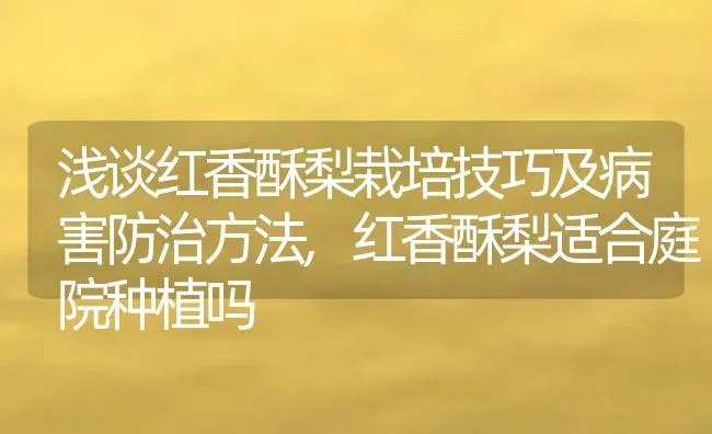 浅谈红香酥梨栽培技巧及病害防治方法,红香酥梨适合庭院种植吗 | 养殖学堂
