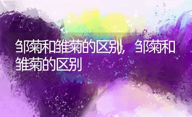 仓颉造字的故事简短概括,仓颉造字的故事，的品质？ | 养殖科普