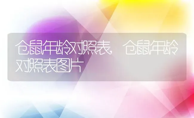 仓鼠年龄对照表,仓鼠年龄对照表图片 | 养殖科普