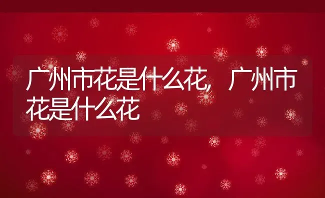 广州市花是什么花,广州市花是什么花 | 养殖科普