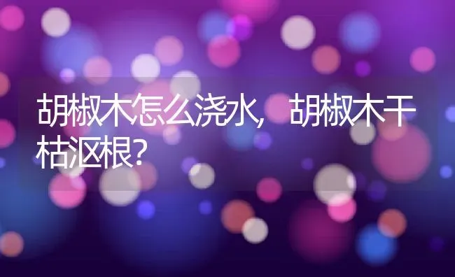 胡椒木怎么浇水,胡椒木干枯沤根？ | 养殖科普