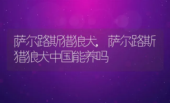 22磅等于多少斤,22磅等于多少斤kg | 养殖资料