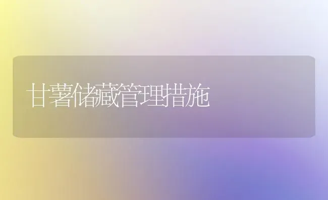 甘薯储藏管理措施 | 养殖知识