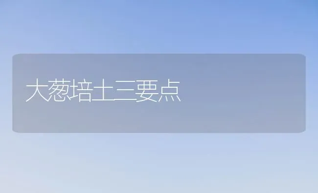 大葱培土三要点 | 养殖技术大全