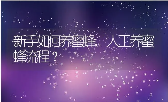 新手如何养蜜蜂,人工养蜜蜂流程？ | 养殖科普