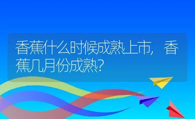 香蕉什么时候成熟上市,香蕉几月份成熟？ | 养殖学堂