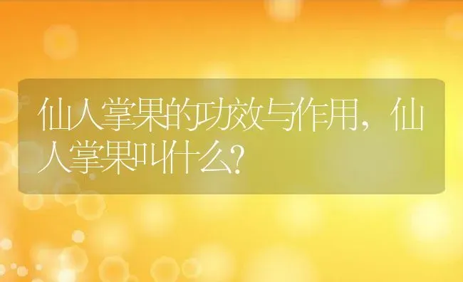 仙人掌果的功效与作用,仙人掌果叫什么？ | 养殖科普