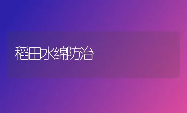 稻田水绵防治 | 养殖知识