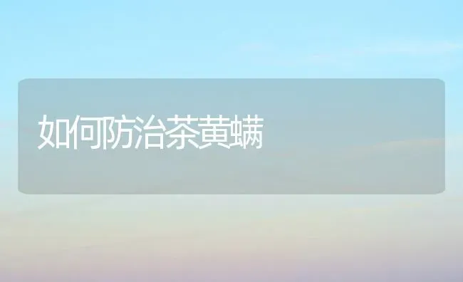 如何防治茶黄螨 | 养殖知识