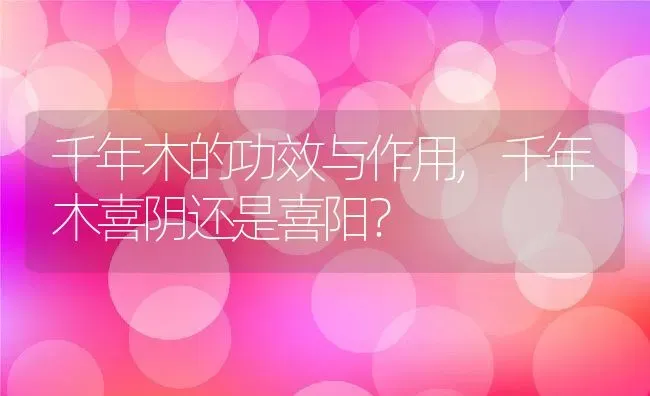 千年木的功效与作用,千年木喜阴还是喜阳？ | 养殖科普