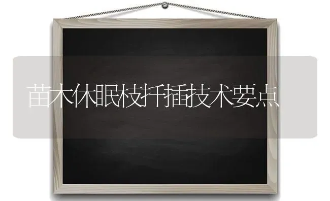 苗木休眠枝扦插技术要点 | 养殖技术大全