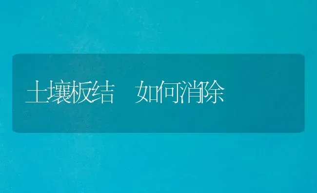 土壤板结 如何消除 | 养殖技术大全