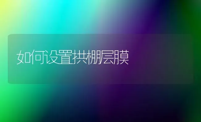 如何设置拱棚层膜 | 养殖技术大全
