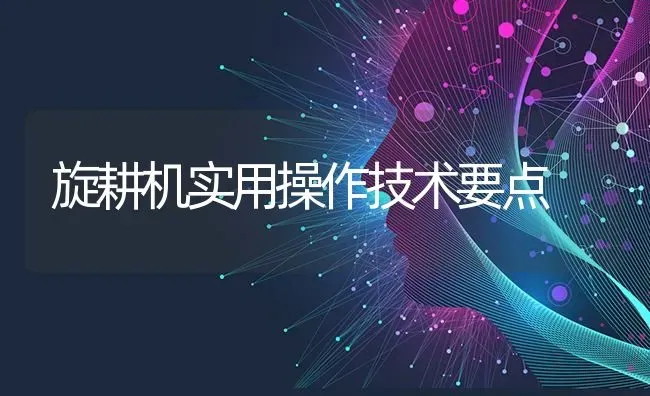 旋耕机实用操作技术要点 | 养殖知识