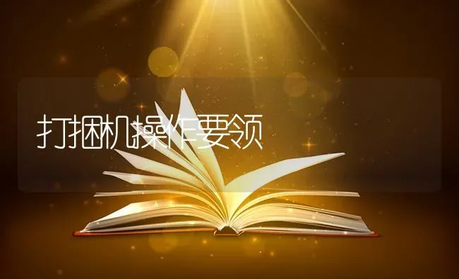 打捆机操作要领 | 养殖知识