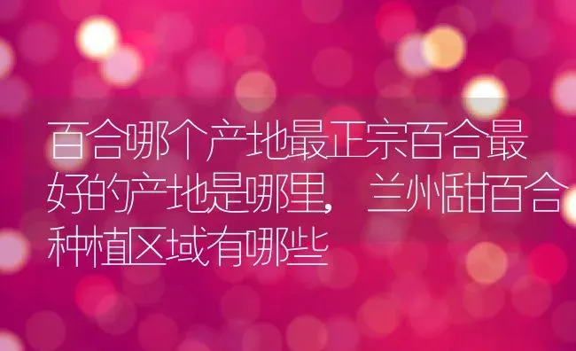 百合哪个产地最正宗百合最好的产地是哪里,兰州甜百合种植区域有哪些 | 养殖学堂