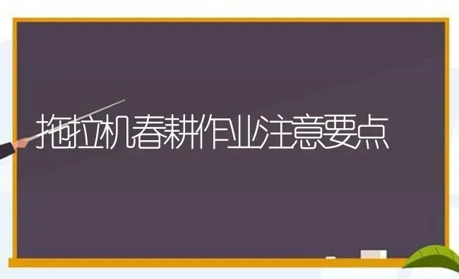 拖拉机春耕作业注意要点 | 养殖知识