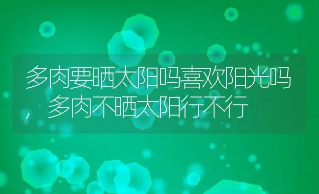 多肉要晒太阳吗喜欢阳光吗,多肉不晒太阳行不行 | 养殖学堂