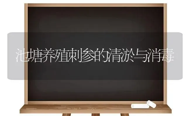 池塘养殖刺参的清淤与消毒 | 养殖知识