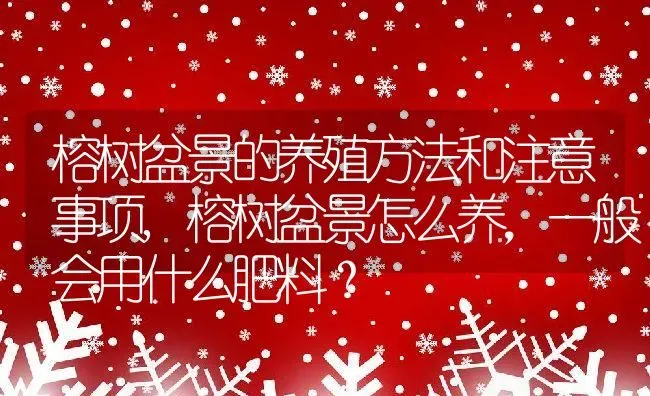 榕树盆景的养殖方法和注意事项,榕树盆景怎么养，一般会用什么肥料？ | 养殖科普