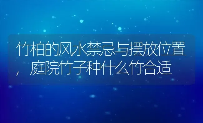 竹柏的风水禁忌与摆放位置,庭院竹子种什么竹合适 | 养殖学堂