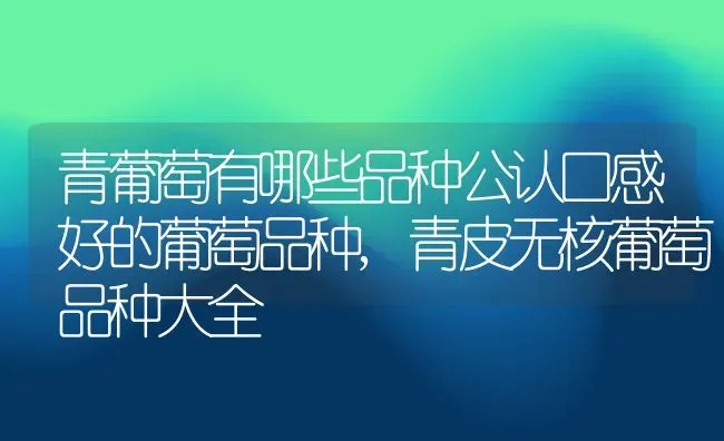 青葡萄有哪些品种公认口感好的葡萄品种,青皮无核葡萄品种大全 | 养殖学堂